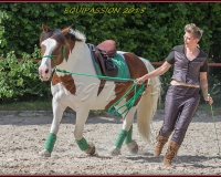 1-13JUIN 0681